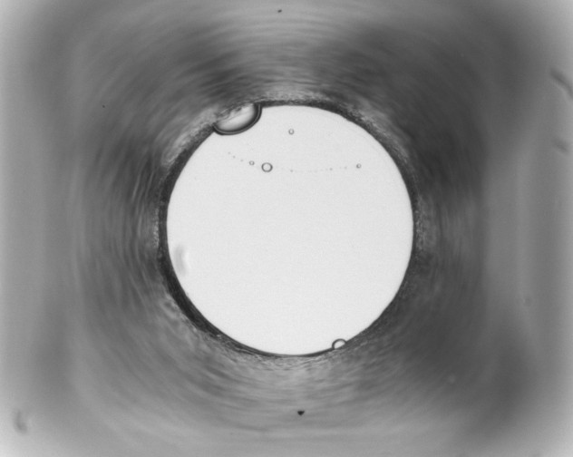 X0000101460015200808041052
