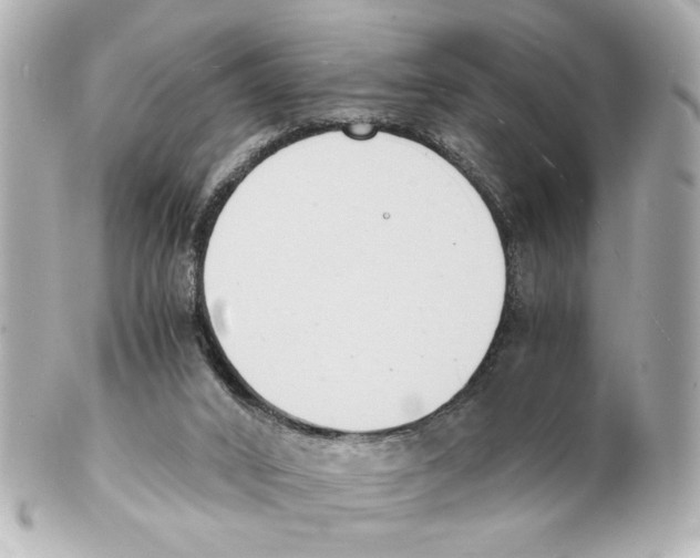 X0000101460016200808041052