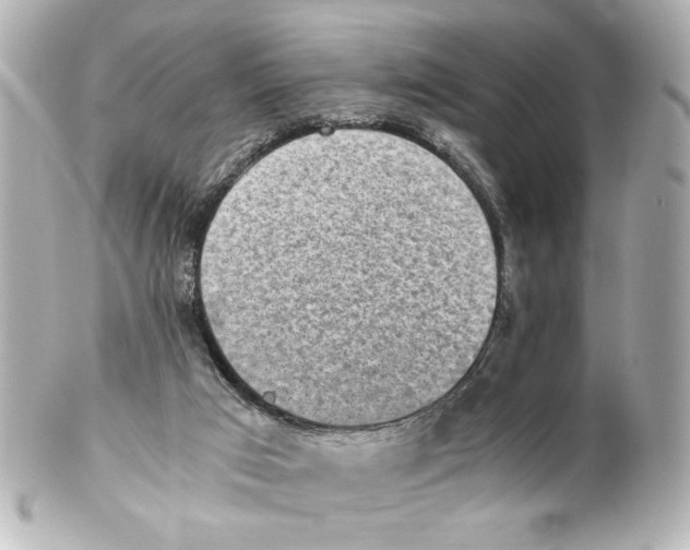X0000101460017200808041052