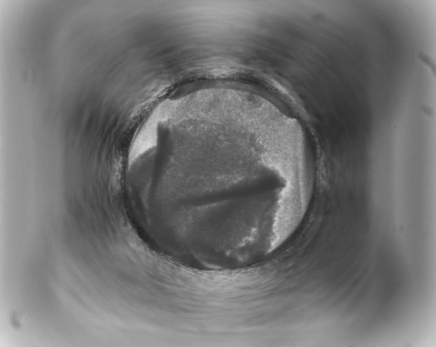 X0000101460018200808041052