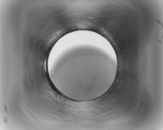 X0000101460019200808041052