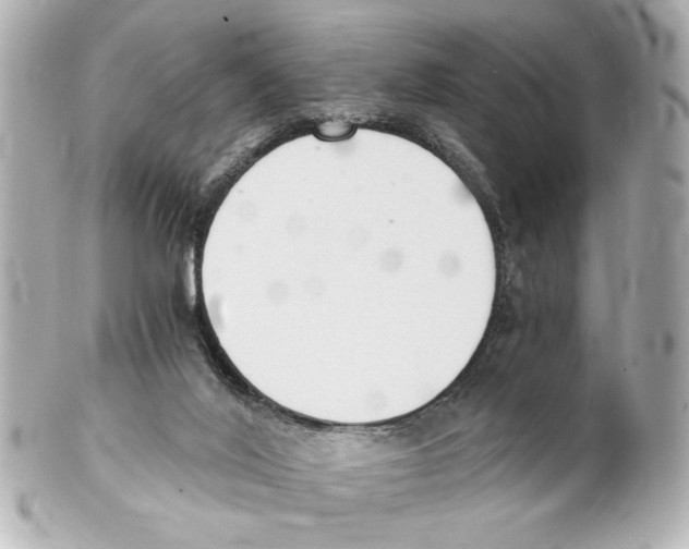 X0000101460020200808041052