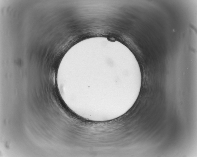 X0000101460021200808041052