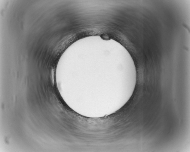X0000101460022200808041052