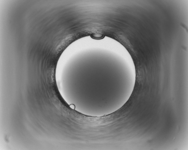 X0000101460023200808041052
