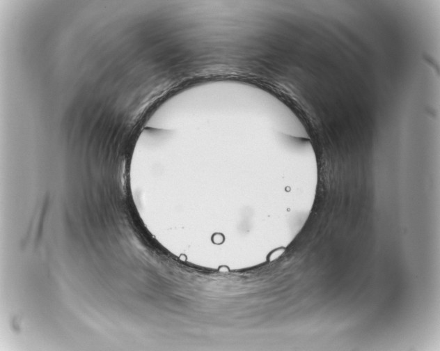 X0000101460024200808041052