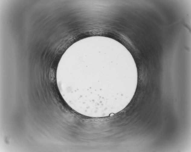 X0000101460025200808041052