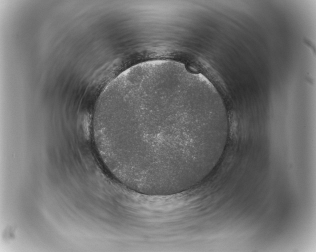 X0000101460026200808041052