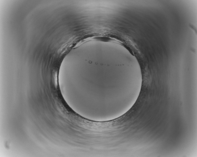 X0000101460027200808041052