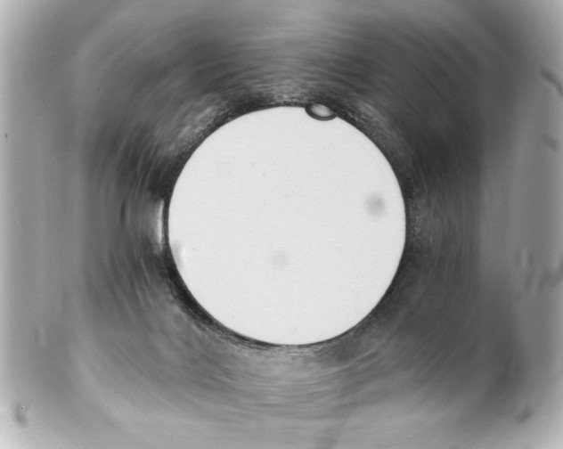 X0000101460028200808041052