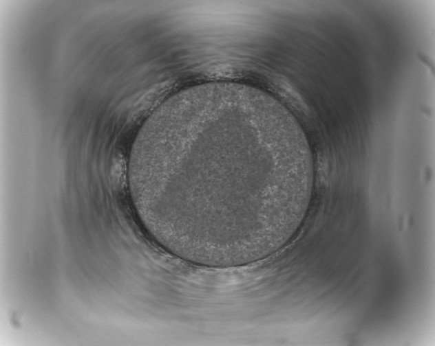X0000101460029200808041052