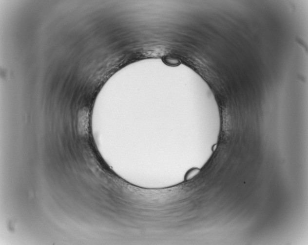 X0000101460030200808041052