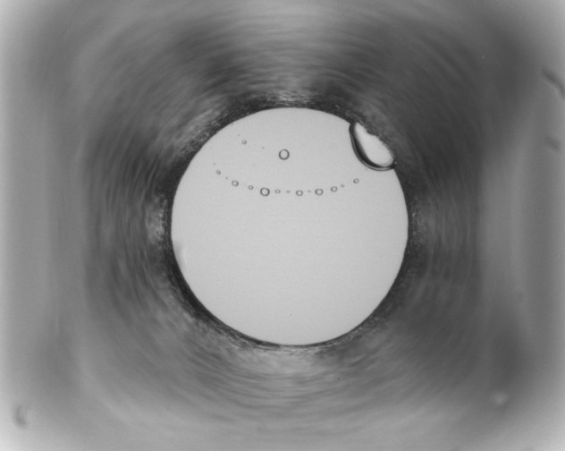 X0000101460032200808041052