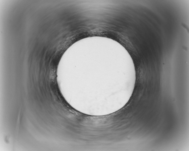 X0000101460033200808041052