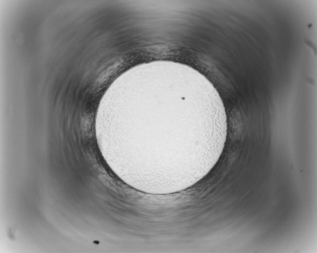 X0000101460034200808041052