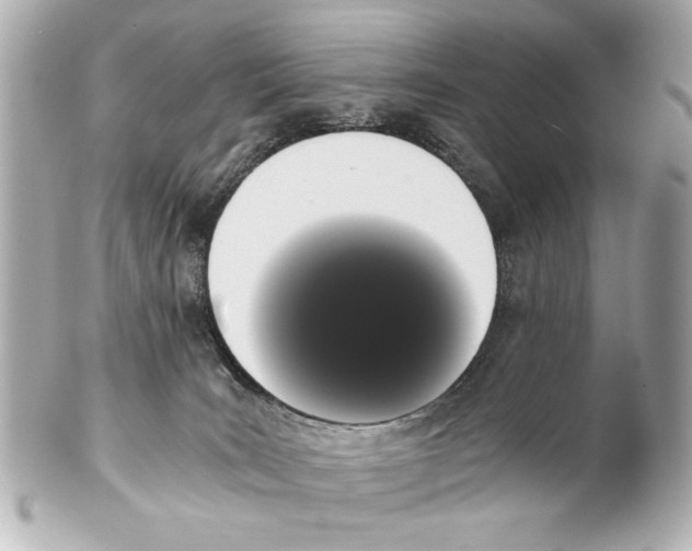 X0000101460035200808041052