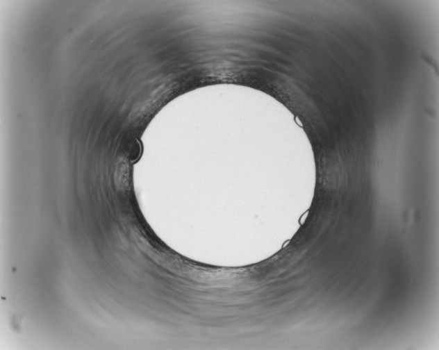 X0000101460036200808041052
