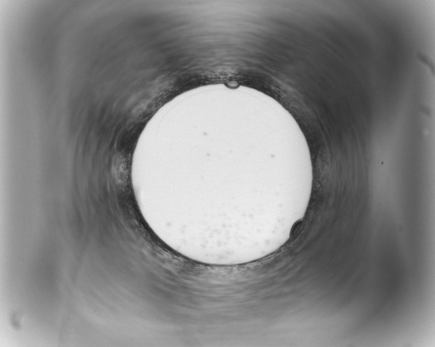 X0000101460037200808041052