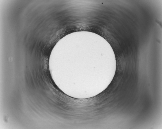 X0000101460038200808041052