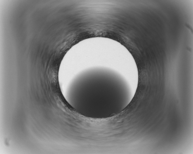 X0000101460039200808041052