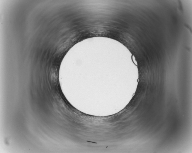 X0000101460040200808041052
