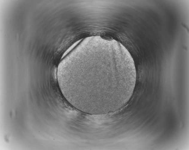 X0000101460041200808041052