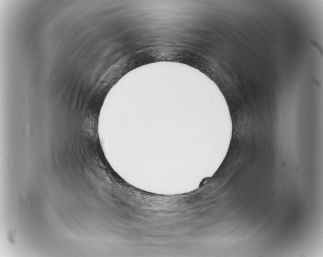 X0000101460044200808041052