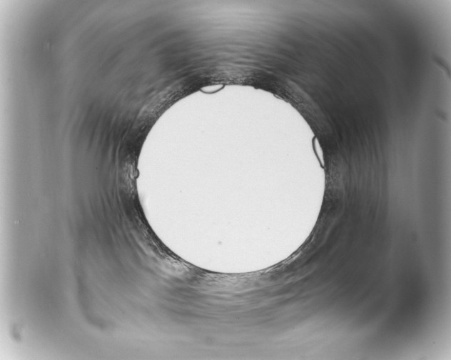 X0000101460045200808041052
