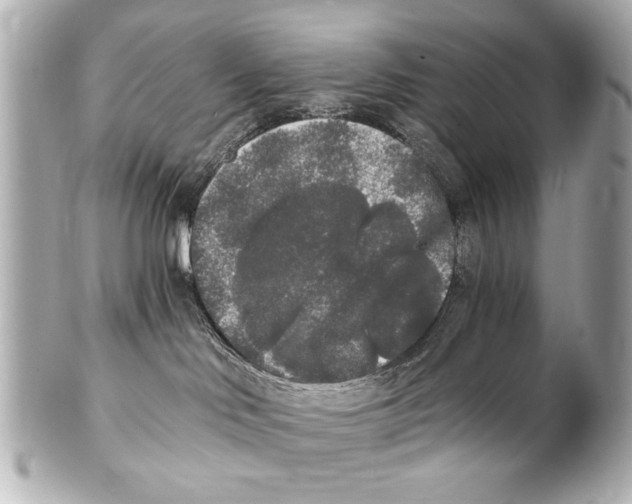 X0000101460046200808041052