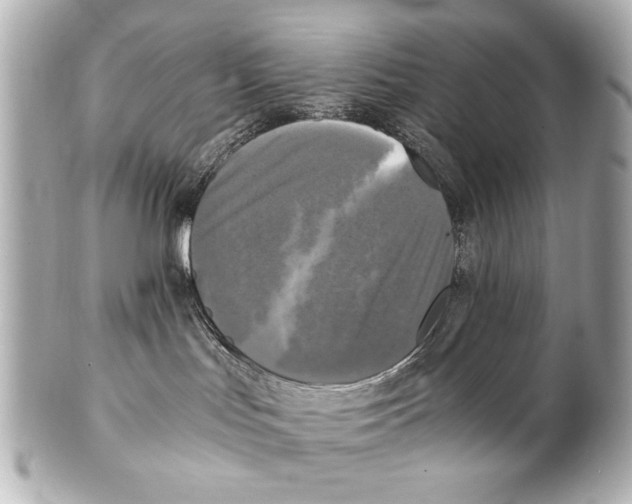 X0000101460047200808041052