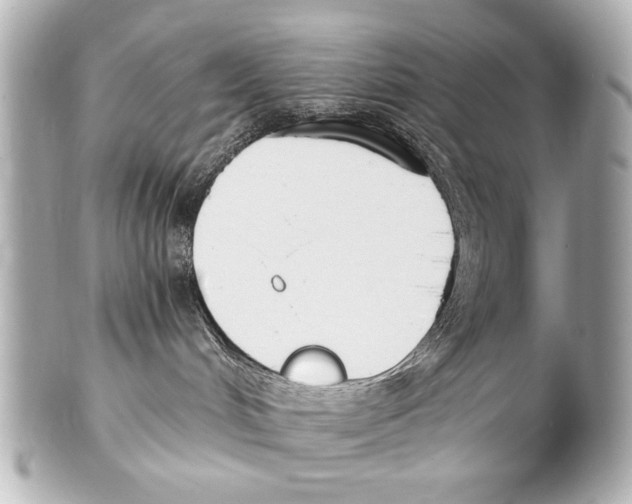 X0000101460048200808041052