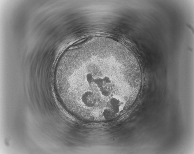 X0000101460049200808041051