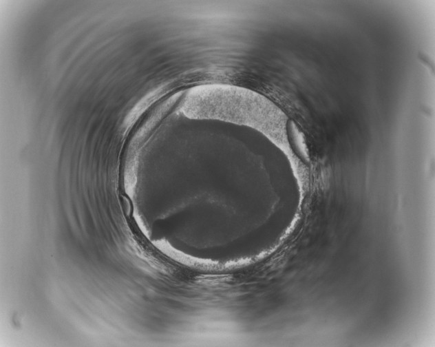 X0000101460051200808041051