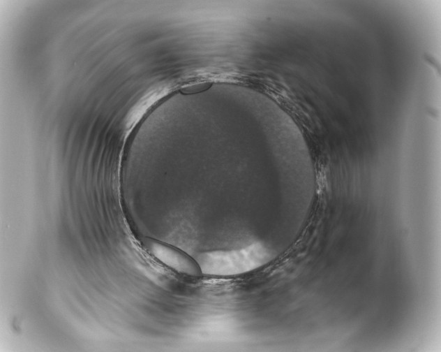 X0000101460052200808041051