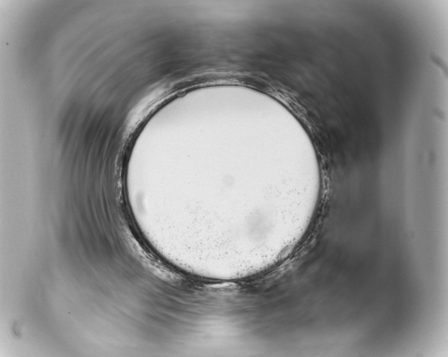 X0000101460053200808041051
