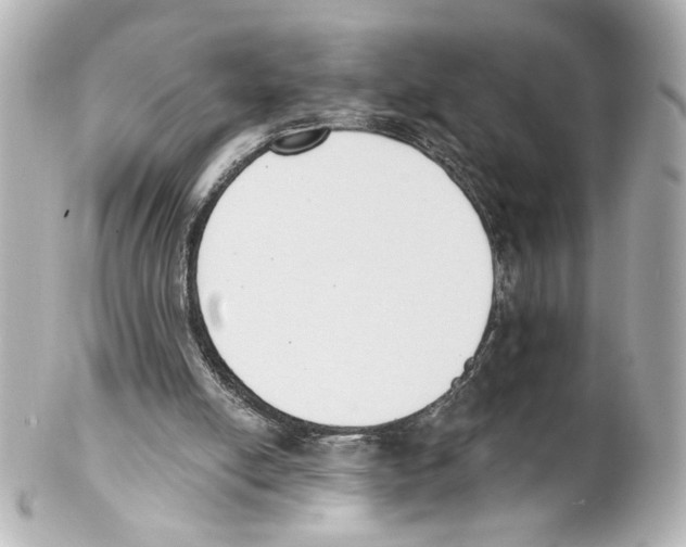 X0000101460054200808041051