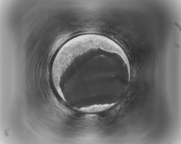 X0000101460055200808041051