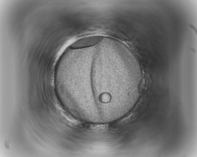 X0000101460056200808041051