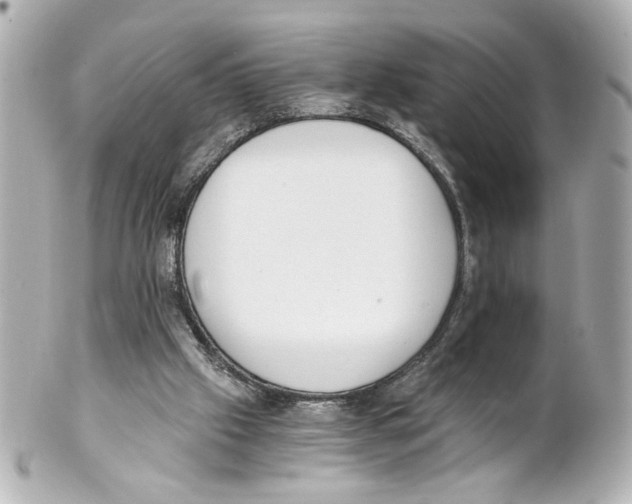 X0000101460057200808041051