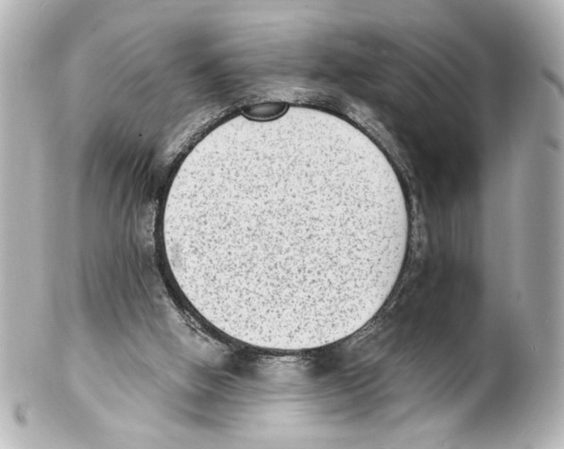 X0000101460058200808041051