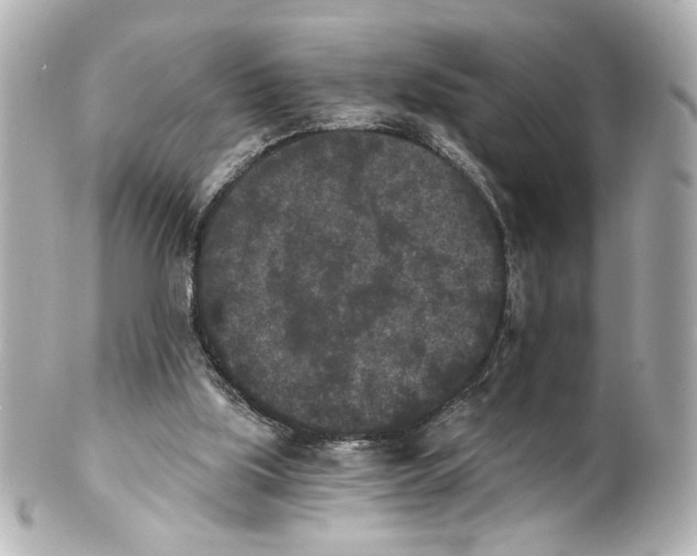 X0000101460059200808041051
