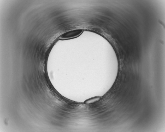 X0000101460060200808041051