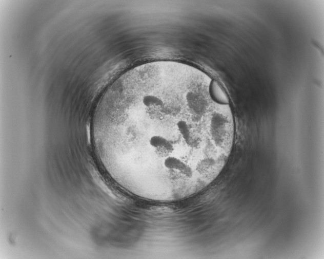 X0000101460061200808041052