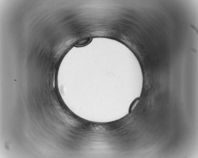 X0000101460062200808041052