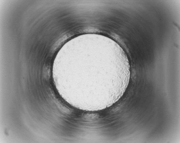 X0000101460063200808041052