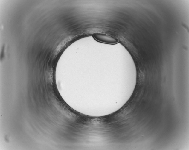 X0000101460064200808041052