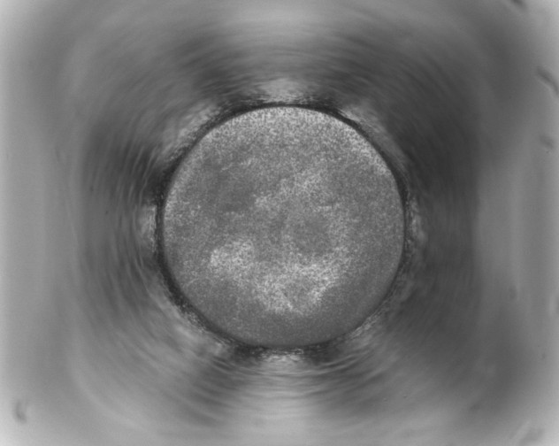 X0000101460066200808041052