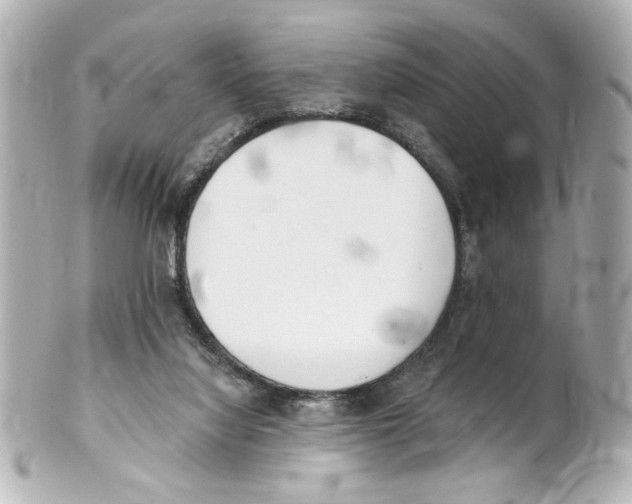 X0000101460068200808041052
