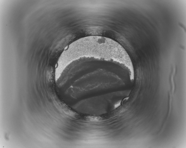 X0000101460073200808041052