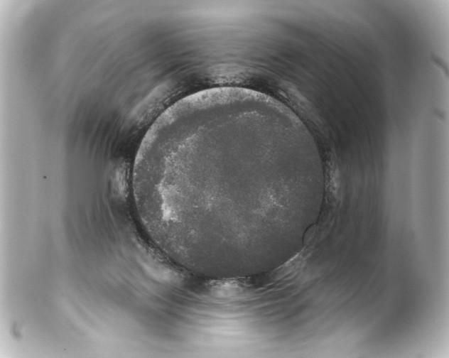 X0000101460074200808041052
